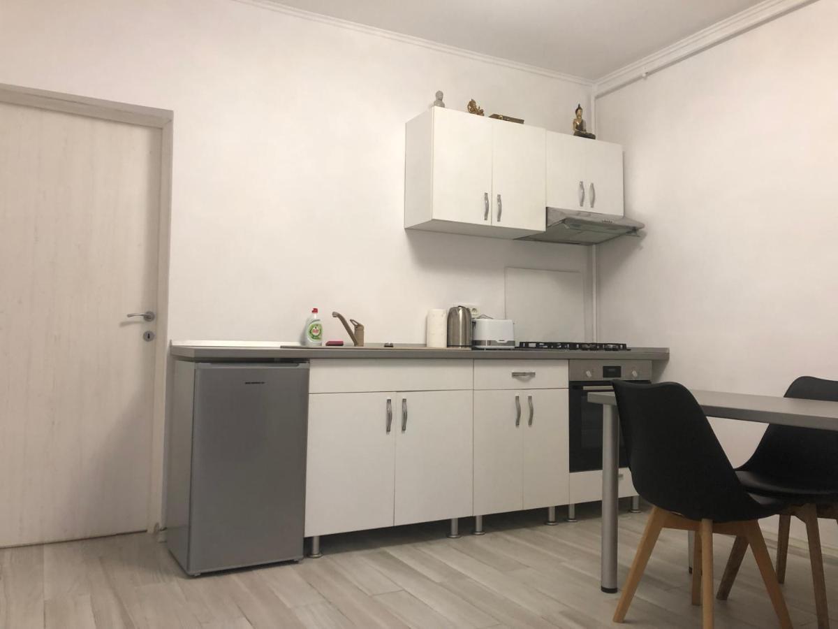 Joy City Stay Pacha Тимишоара Екстериор снимка